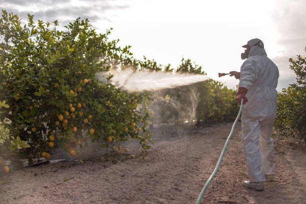 Best Commercial Pest Control Services  in Goshen, AR