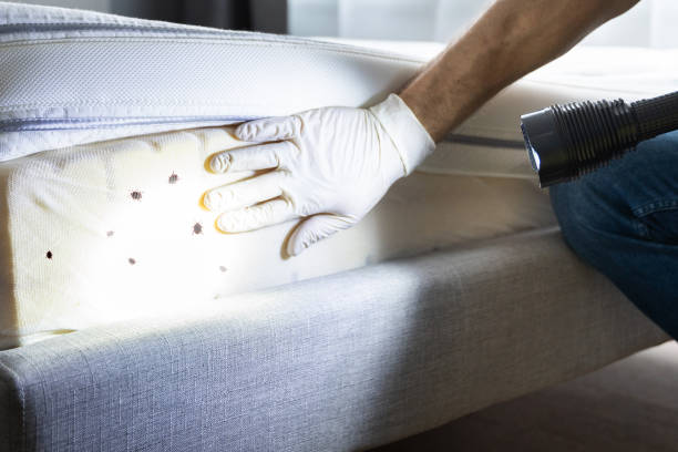 Pest Control for Restaurants in Goshen, AR