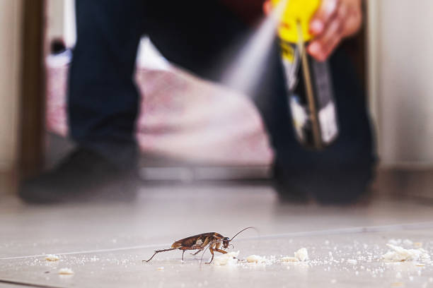 Pest Control Cost in Goshen, AR