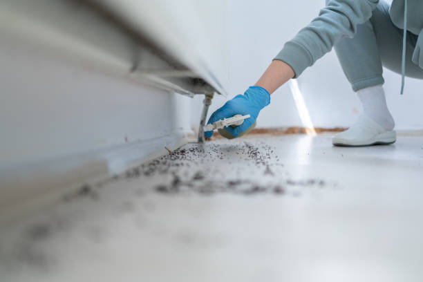 Best Residential Pest Control  in Goshen, AR